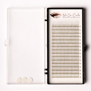 Pre-Made Fan Lashes 2D